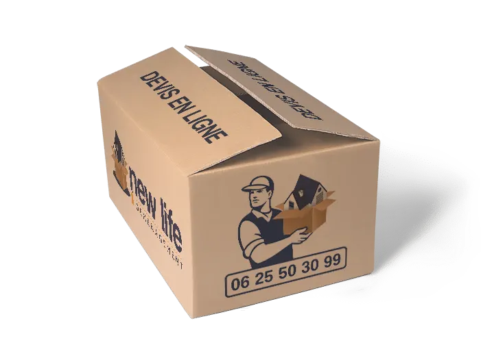 Carton de déménagement aux couleurs de New Life Déménagement